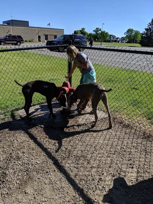 Otsego Dog Park 9