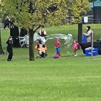 Otsego Dog Park ico