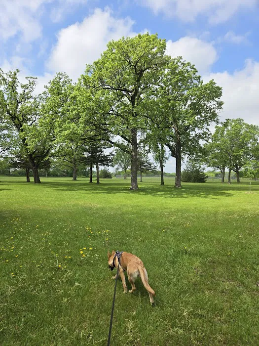 Otsego Dog Park 4