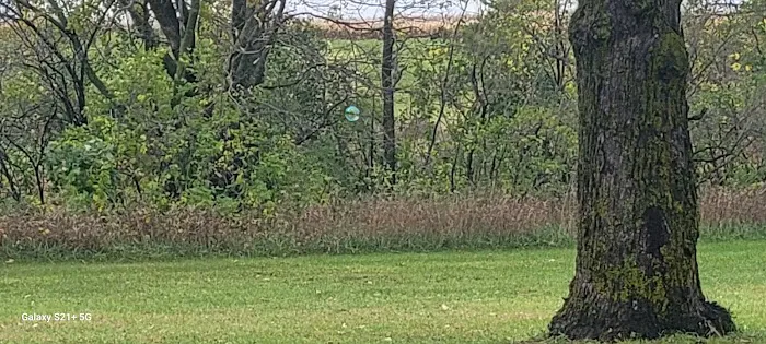 Otsego Dog Park 2