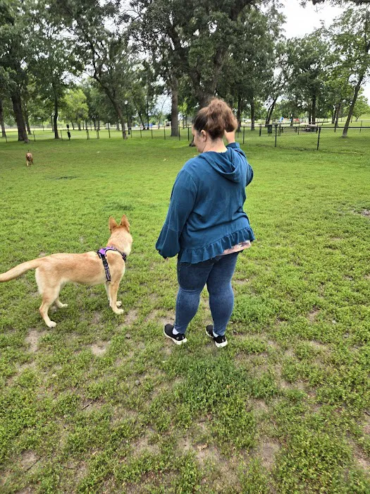Otsego Dog Park 10