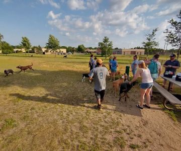 Orono Park Dog Park