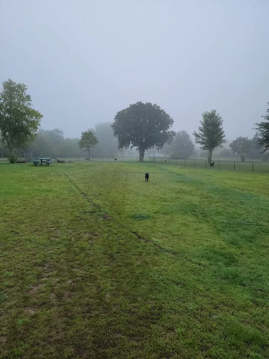 Orono Park Dog Park 4