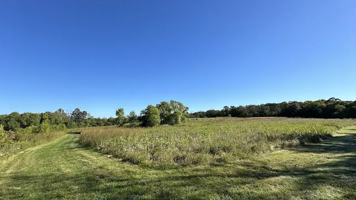 Arb Dog Commons 2
