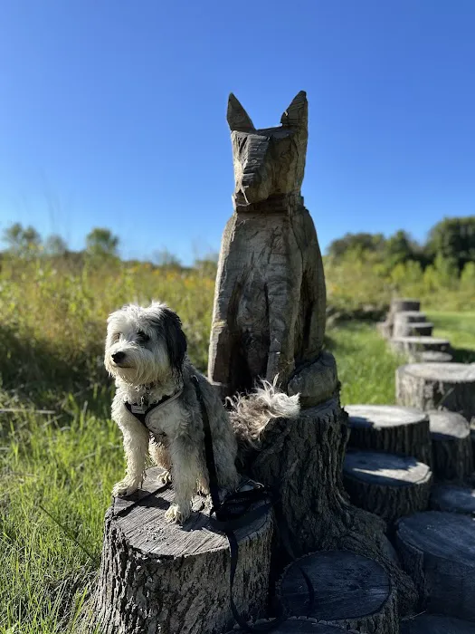 Arb Dog Commons 7