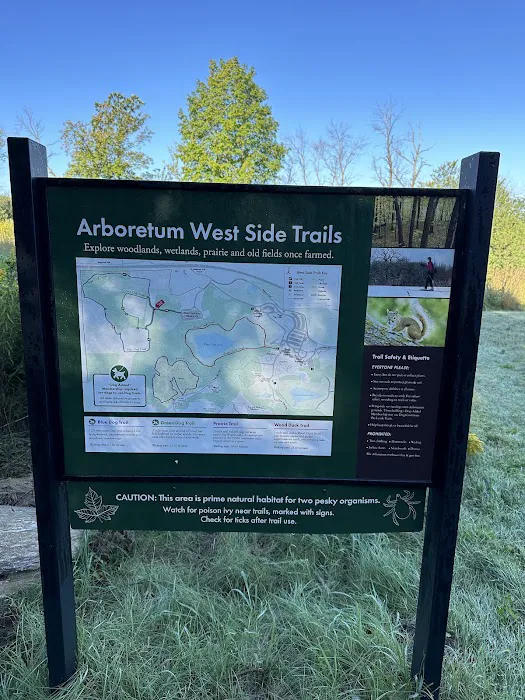 Arb Dog Commons 1
