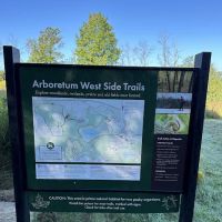 Arb Dog Commons ico