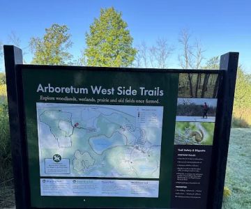 Arb Dog Commons