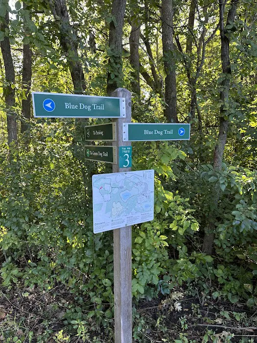 Arb Dog Commons 8