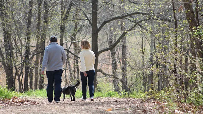 Arb Dog Commons 5