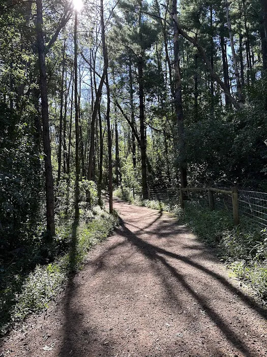 Arb Dog Commons 4