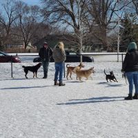 Chaska Dog Park ico