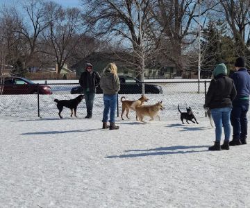 Chaska Dog Park
