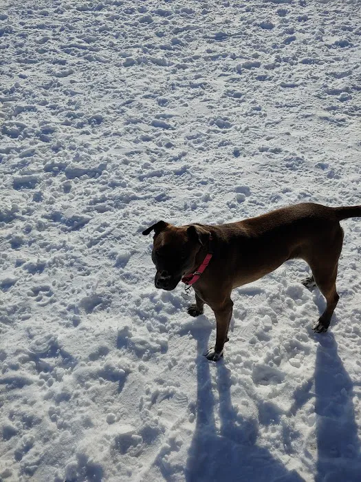 Chaska Dog Park 3