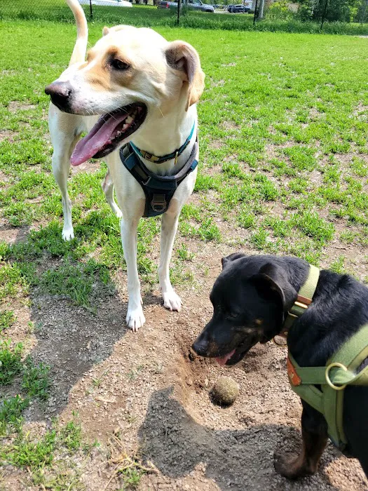 Chaska Dog Park 10