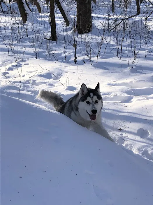Chaska Dog Park 2