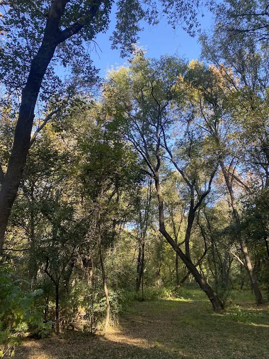 Chaska Dog Park 9