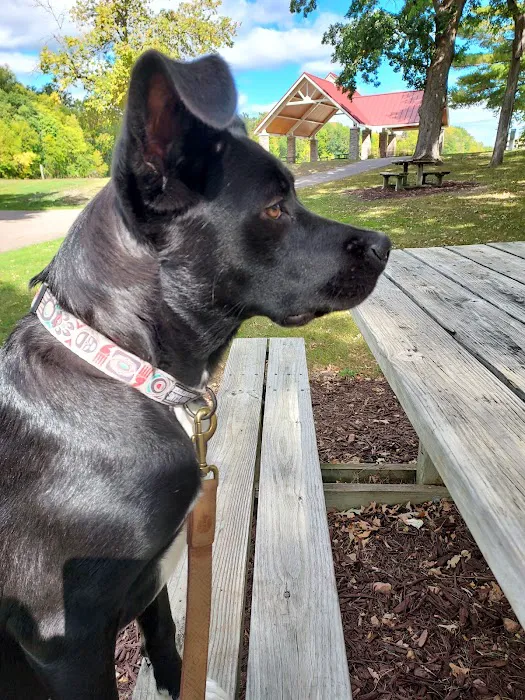 Chaska Dog Park 5