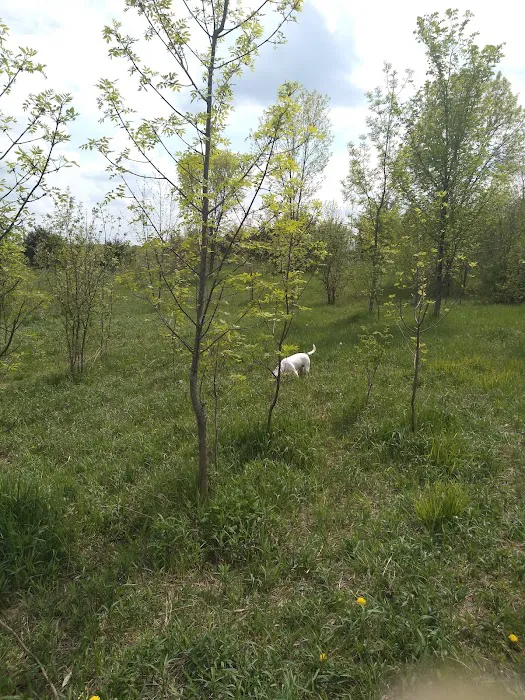 Carver Park Reserve Off-Leash Dog Park 1