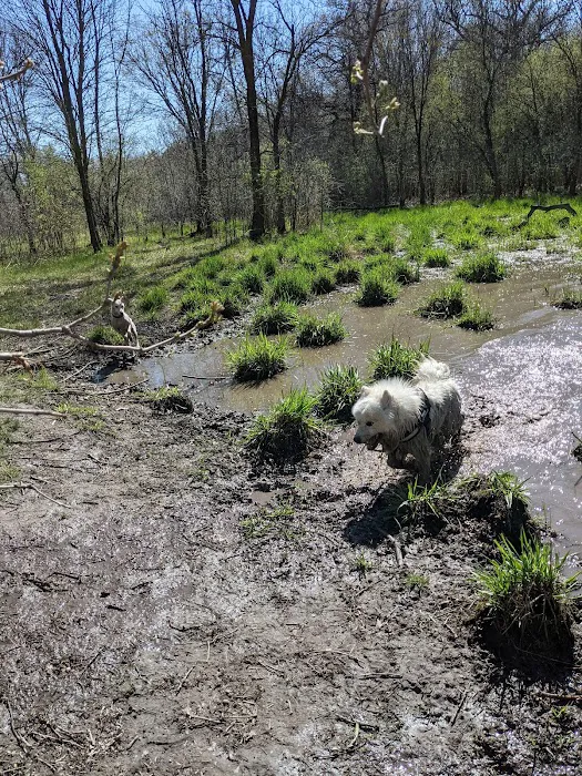 Carver Park Reserve Off-Leash Dog Park 8