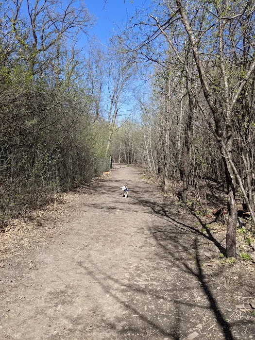 Carver Park Reserve Off-Leash Dog Park 7