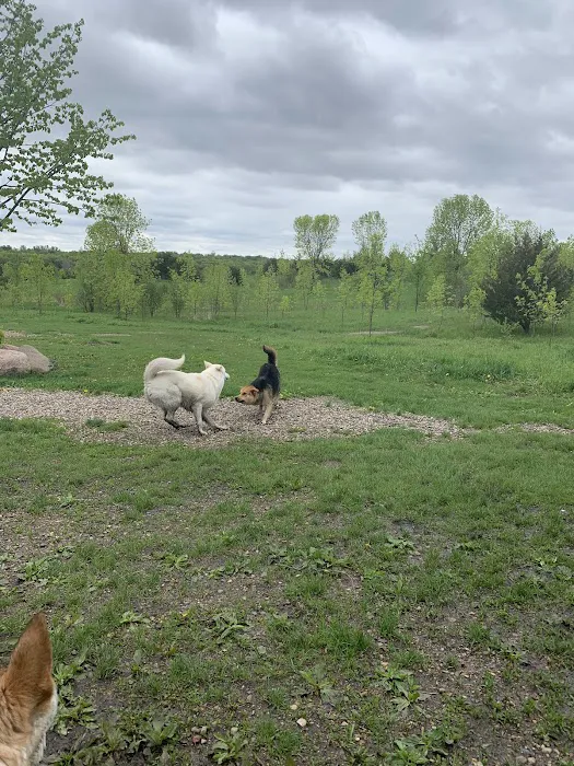 Carver Park Reserve Off-Leash Dog Park 6