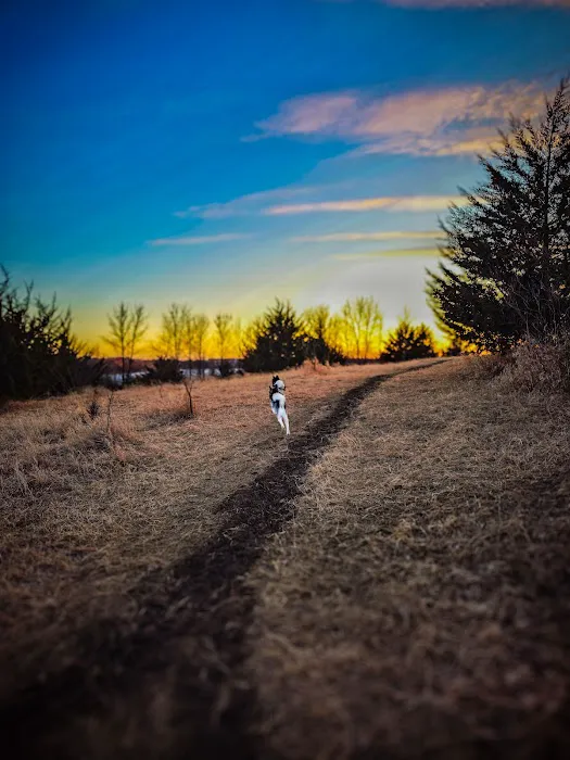 Carver Park Reserve Off-Leash Dog Park 2
