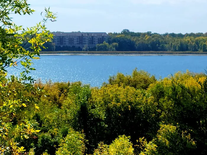 Carver Park Reserve Off-Leash Dog Park 4