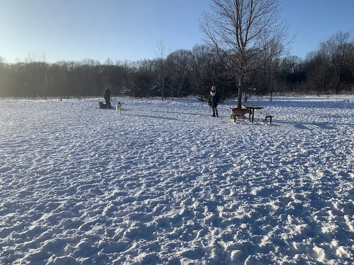 Carver Park Reserve Off-Leash Dog Park 9