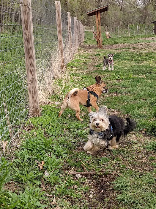 Stillwater MN Dog Park 9
