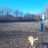 Stillwater MN Dog Park ico