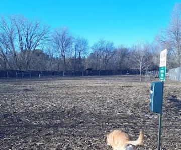 Stillwater MN Dog Park