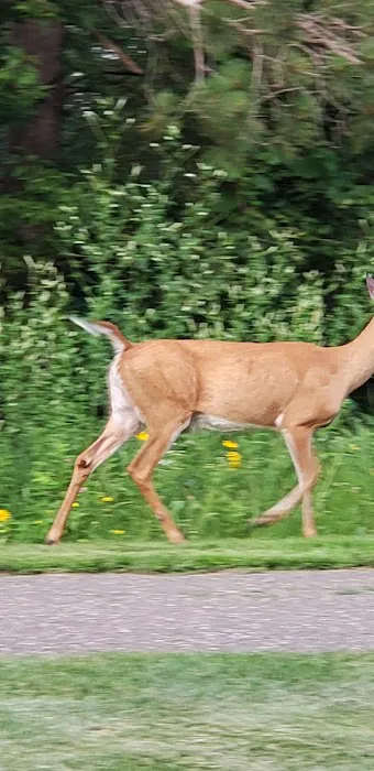 Stillwater MN Dog Park 2