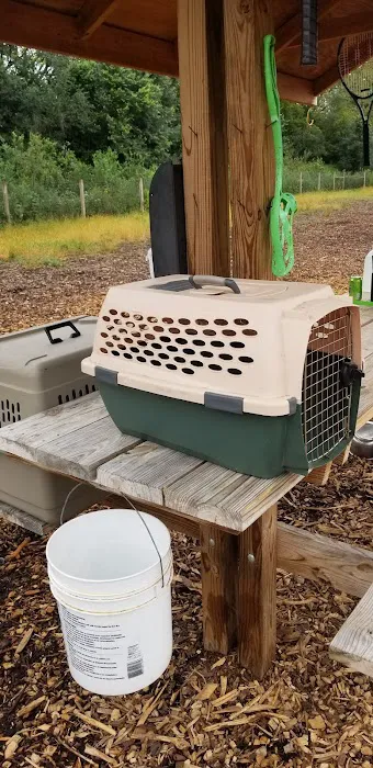 Stillwater MN Dog Park 3