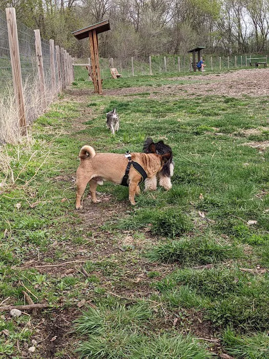 Stillwater MN Dog Park 10