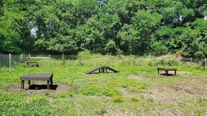 Stillwater MN Dog Park 7