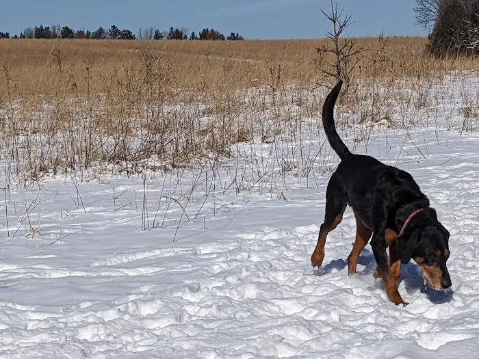 Andy's Bark Park 5