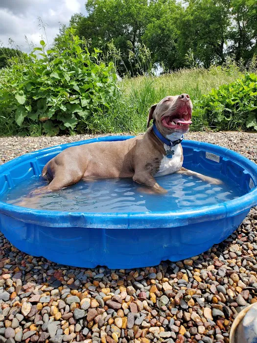 Andy's Bark Park 8