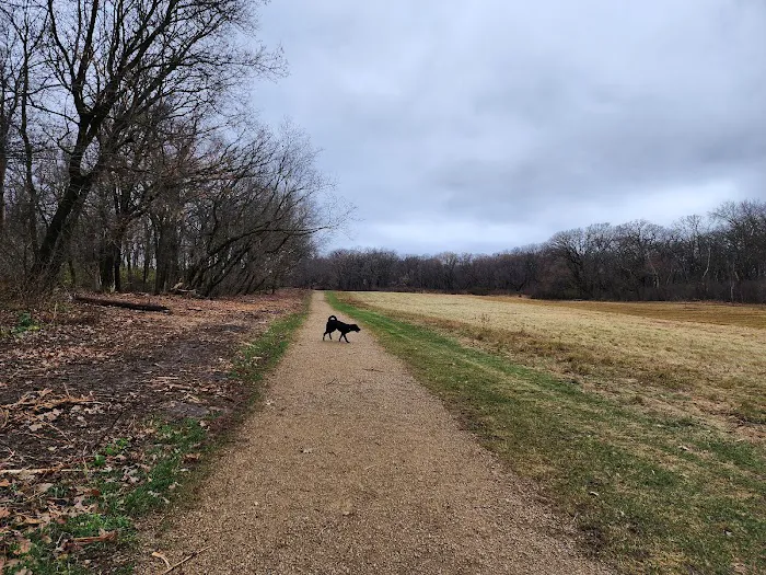 Andy's Bark Park 3