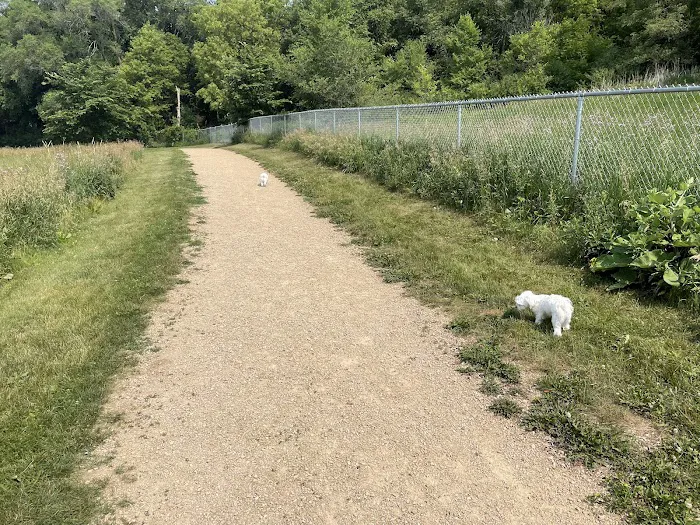 Andy's Bark Park 7