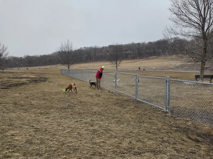 Andy's Bark Park 4