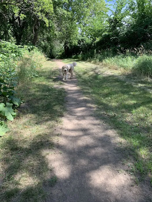 Andy's Bark Park 10