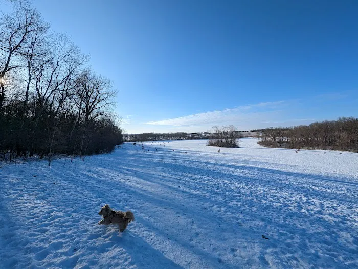 Andy's Bark Park 2