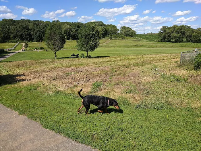 Andy's Bark Park 6