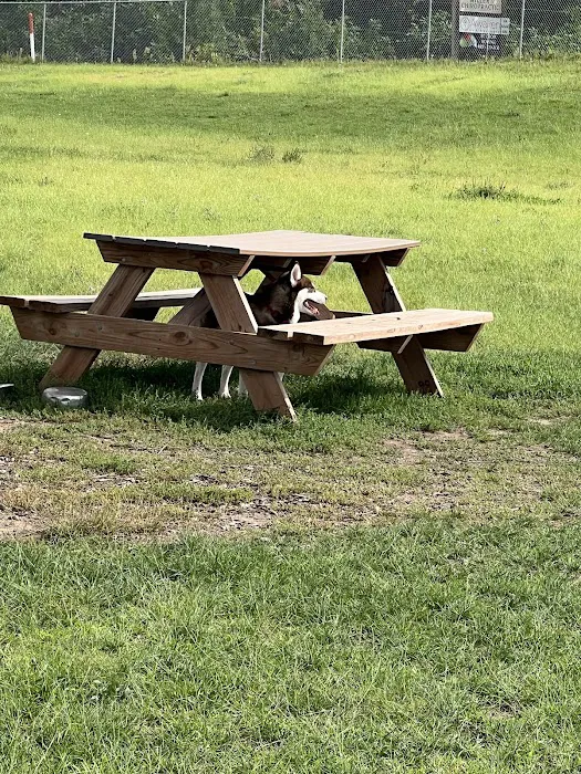 Hudson Dog Park 4