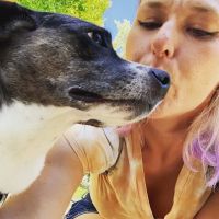 Hudson Dog Park ico