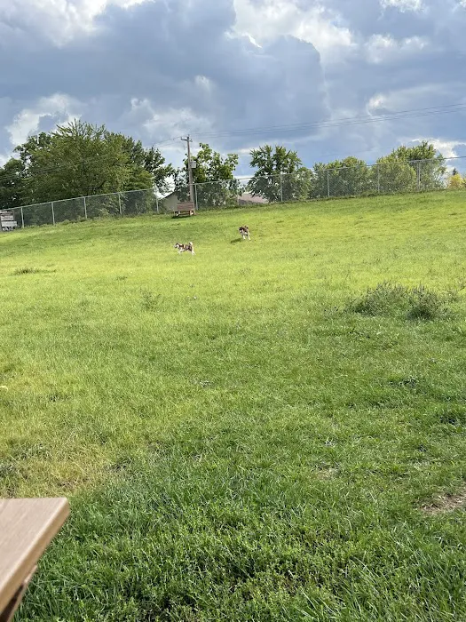 Hudson Dog Park 7