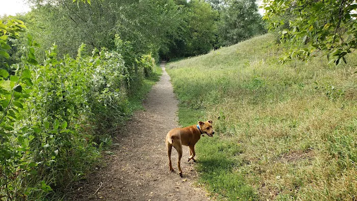 WAG Farms Dog Park 3