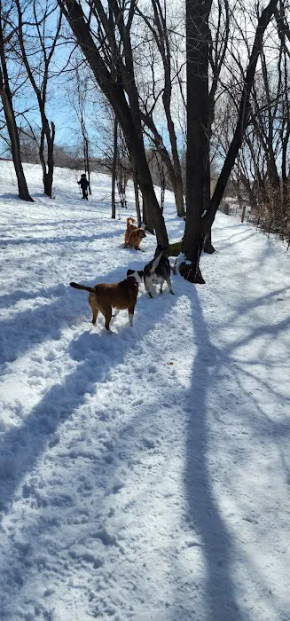 WAG Farms Dog Park 1