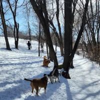 WAG Farms Dog Park ico
